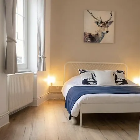 Apartament L'appart Elsass - Cosy 3 Pieces Et Garage Strasburg
