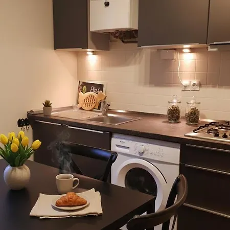 Apartament L'appart Elsass - Cosy 3 Pieces Et Garage Strasburg